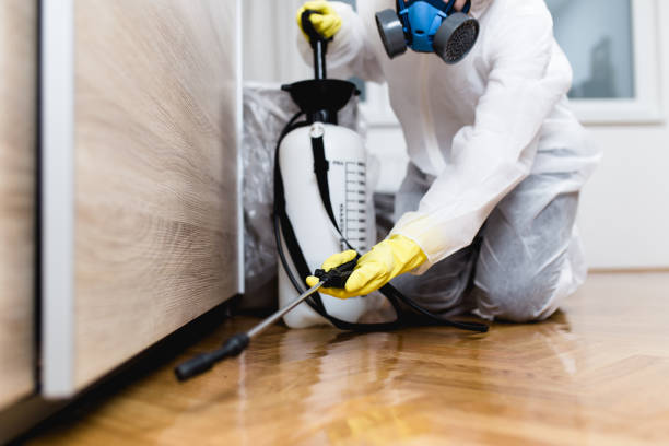 Professional Pest Control in Auburn, KY