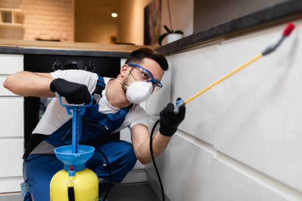 Best Exterminator Services  in Auburn, KY