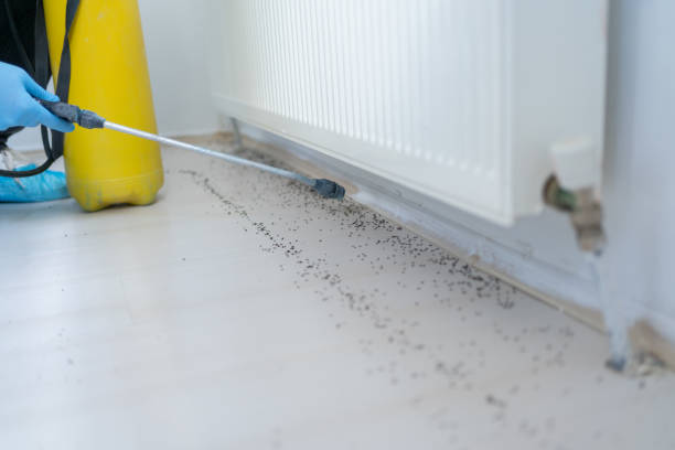 Best Best Pest Control Companies  in Auburn, KY